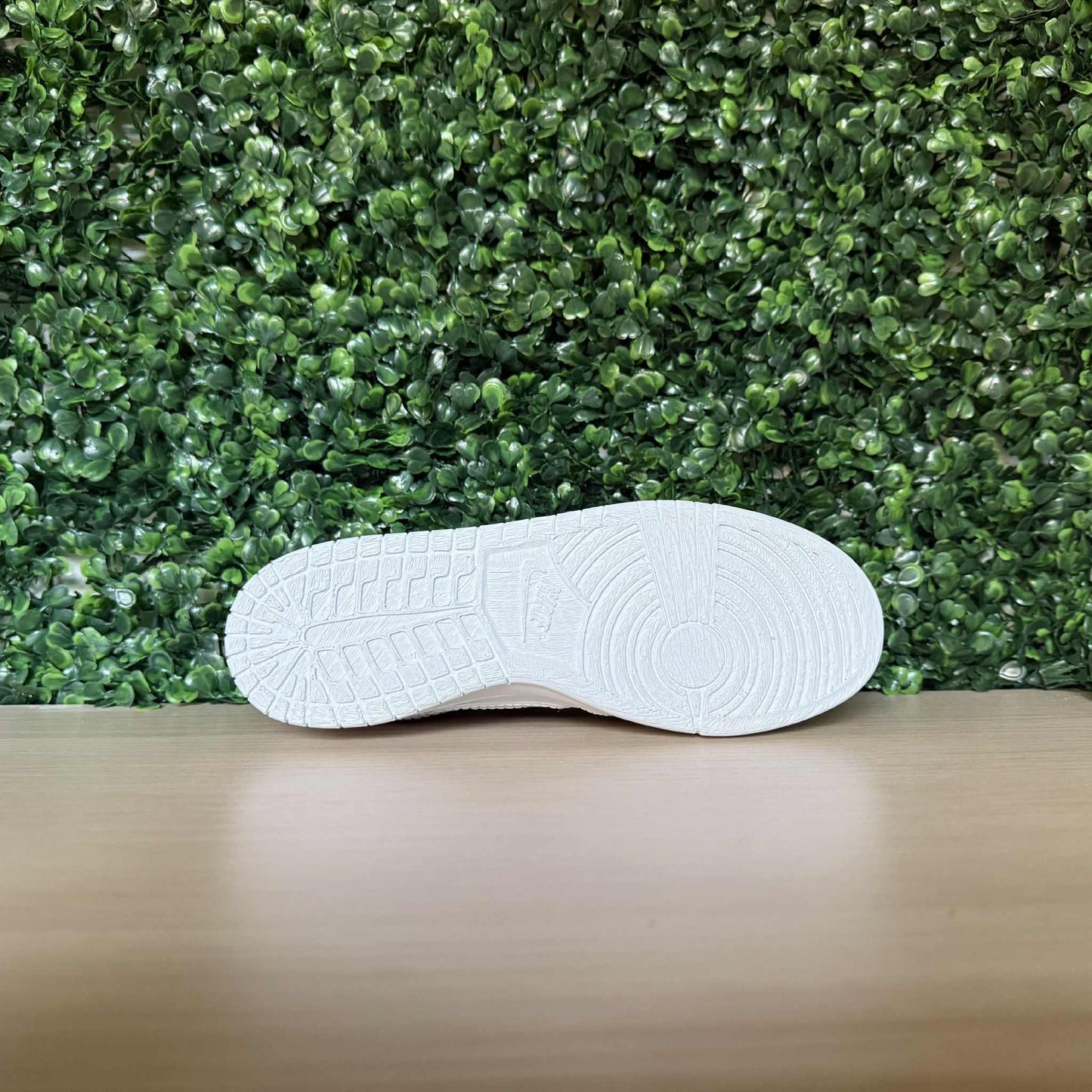 Dunk Low Inspired Sneaker Planter