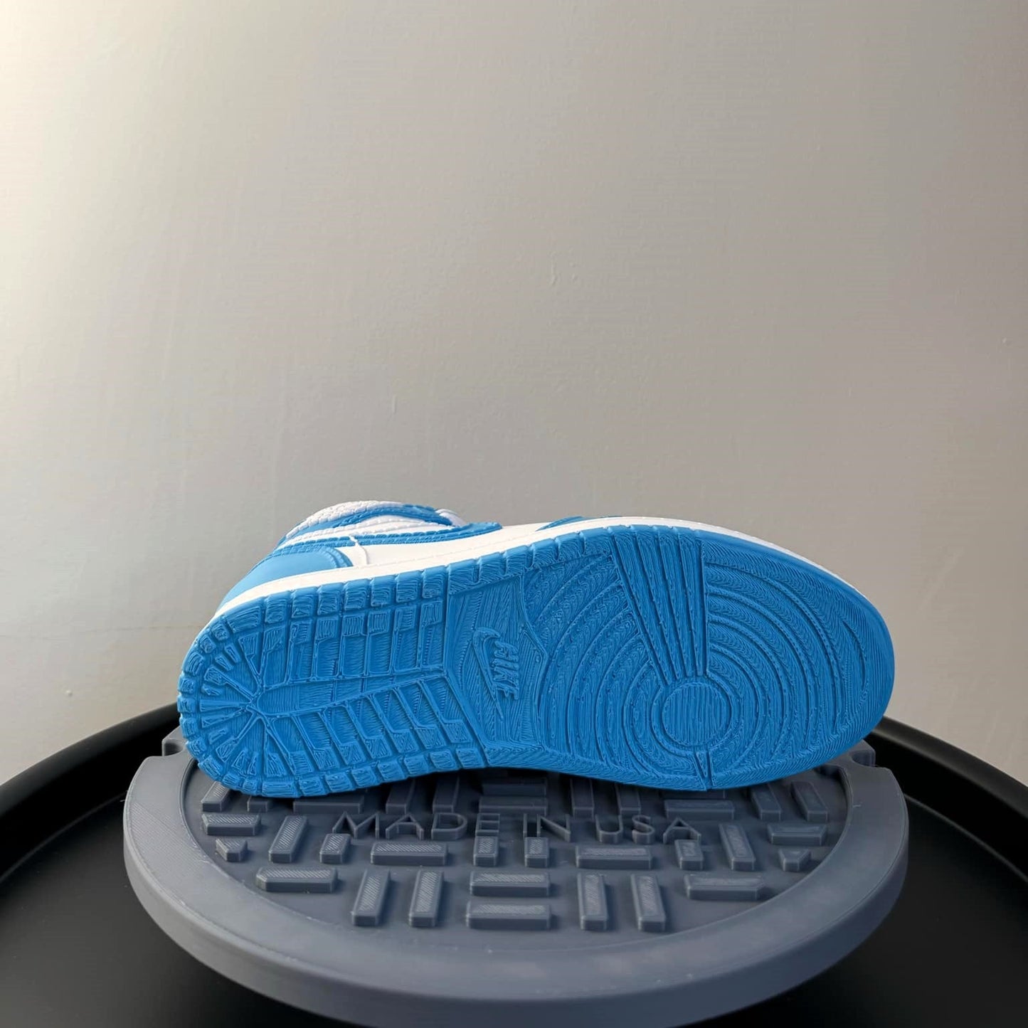 Jordan 1 UNC Sneaker Planter