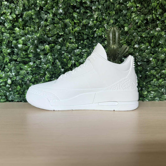 Jordan 3 Sneaker Planter