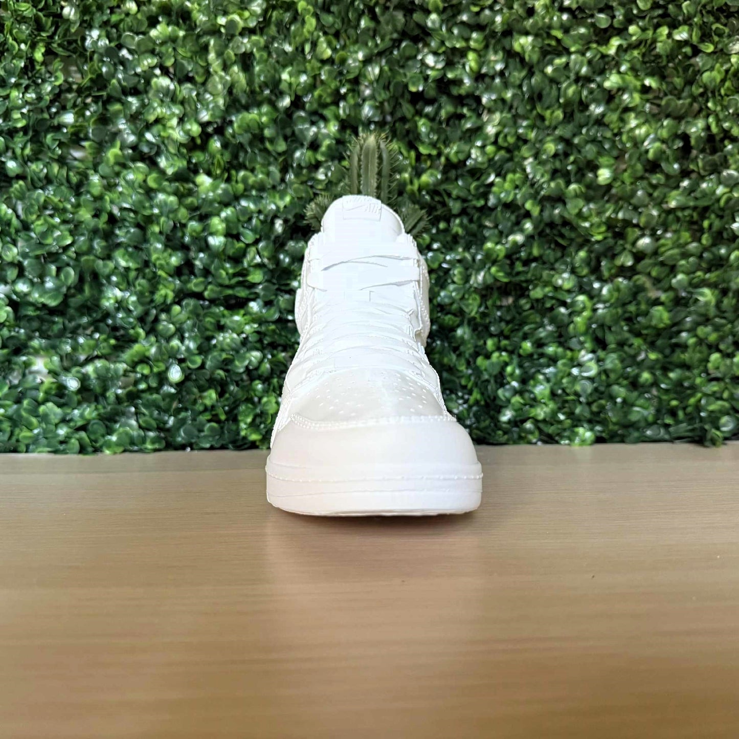Jordan 1 High Sneaker Planter