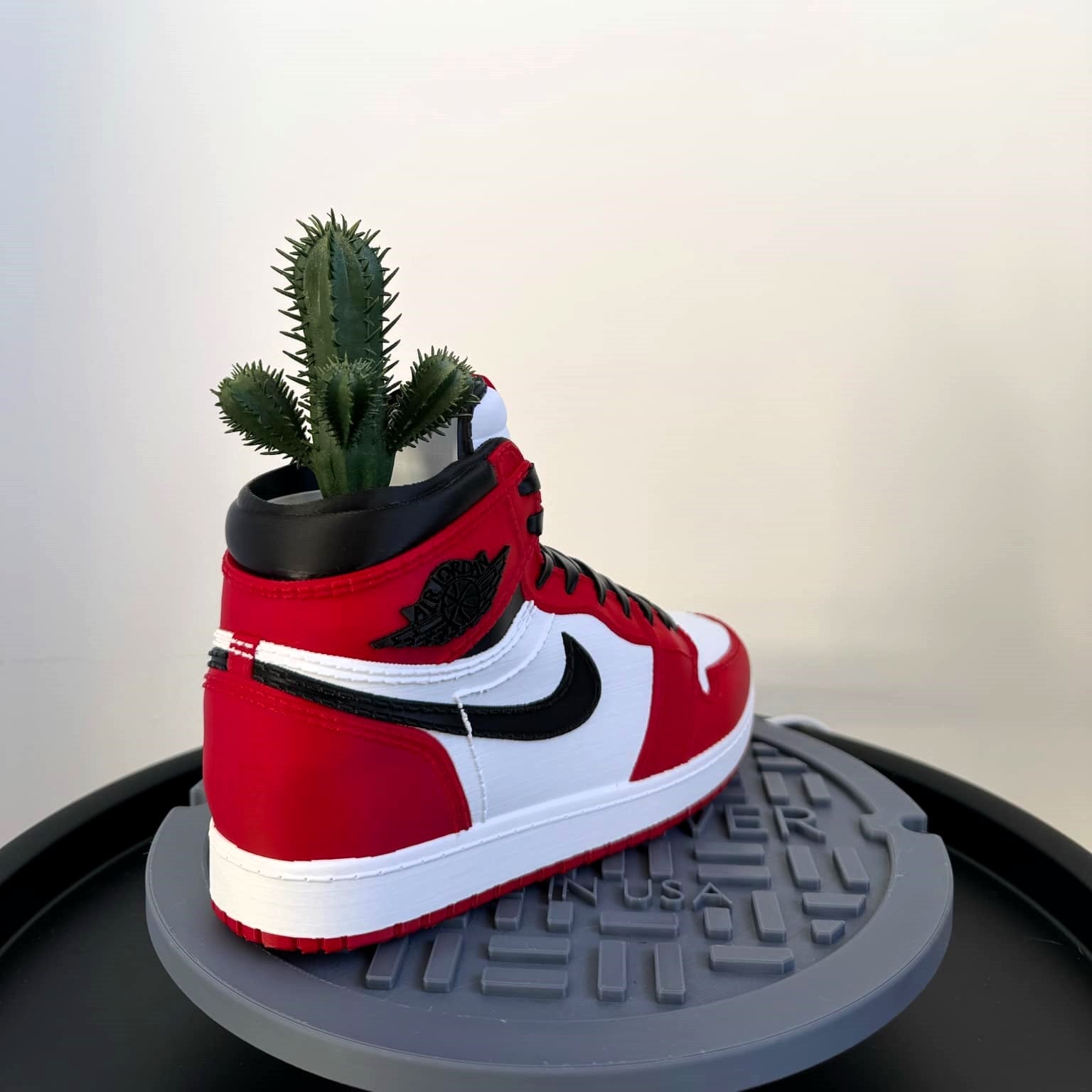 Jordan 1 CHICAGO Sneaker Planter