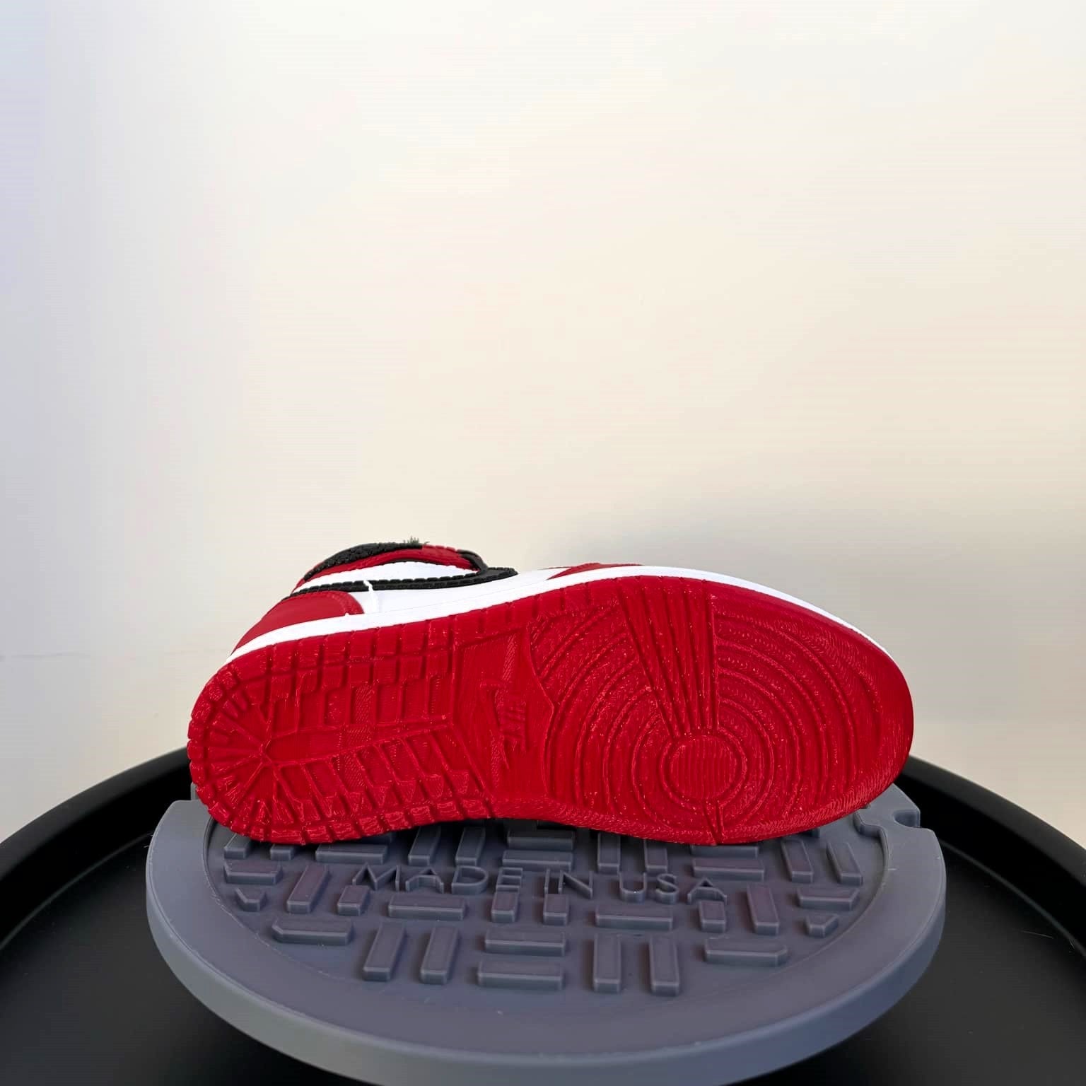 Jordan 1 CHICAGO Sneaker Planter