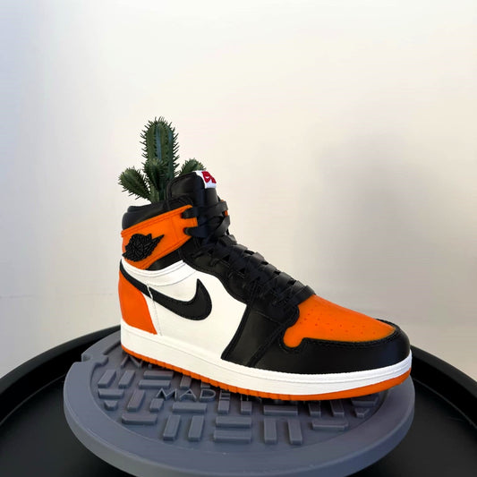 Nike Jordan Shattered Backboard Sneaker Planter