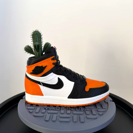 Nike Jordan Shattered Backboard Sneaker Planter
